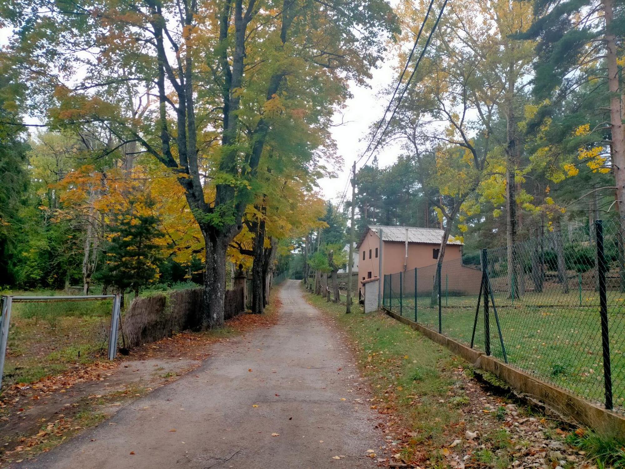 Casa Rural Tia Salome San Jorge  Екстер'єр фото