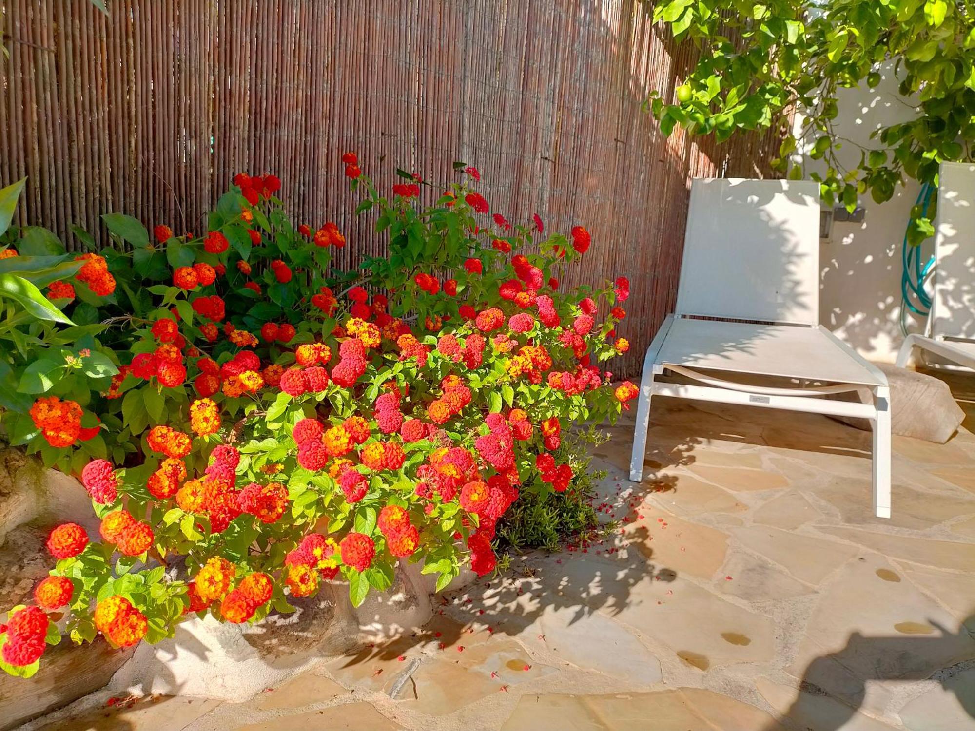 Casa Rural Tia Salome San Jorge  Екстер'єр фото